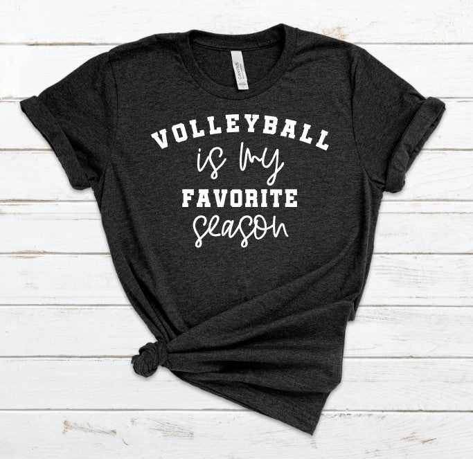 Volleyball Is My Favorite Season Screen Print Transfer