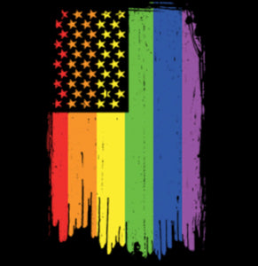 Rainbow American Flag Pride *HIGH HEAT* Screen Print Transfer