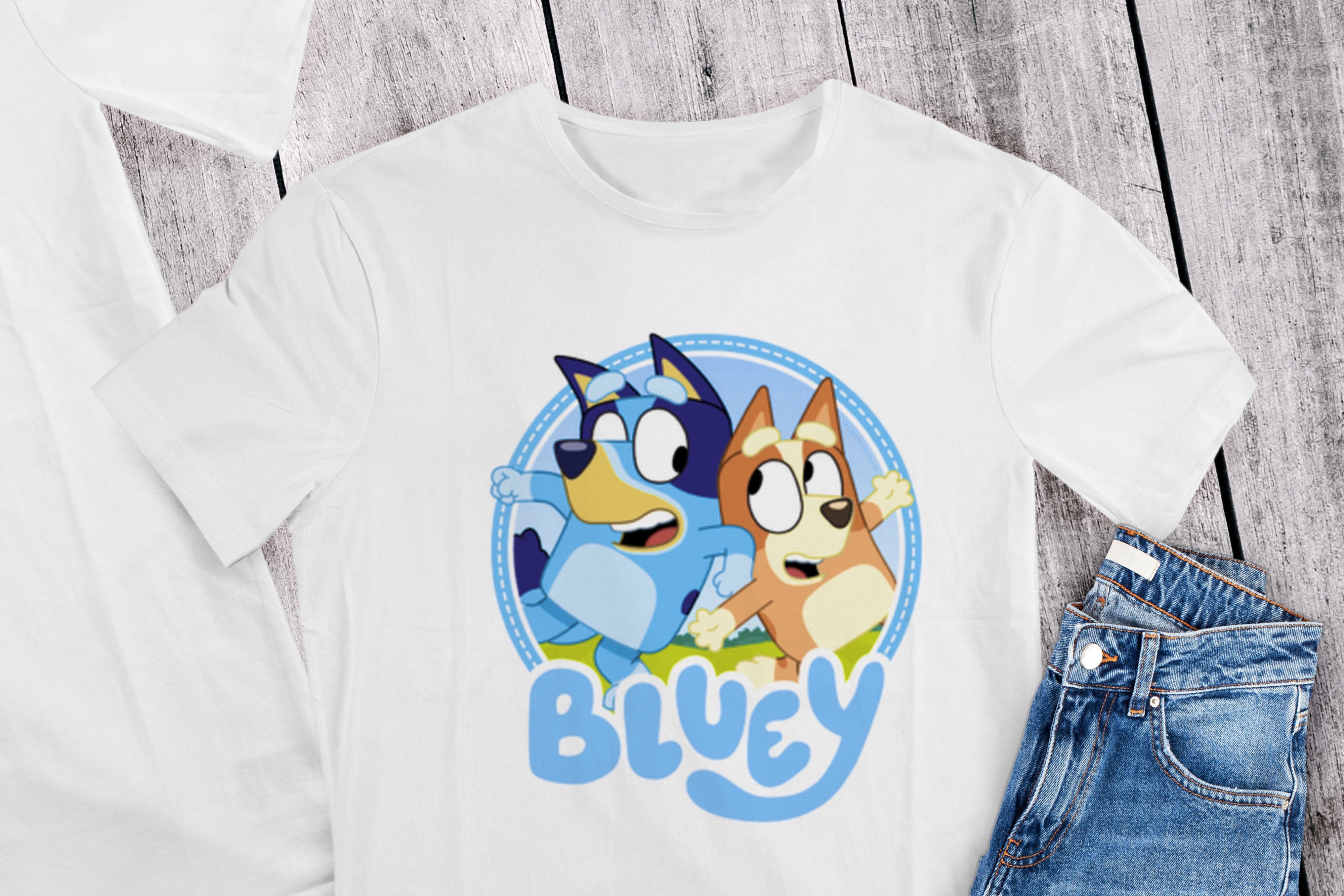 READY TO PRESS Bluey and Bingo Balloon HTV and Sublimation Prints – Pixie &  Winks
